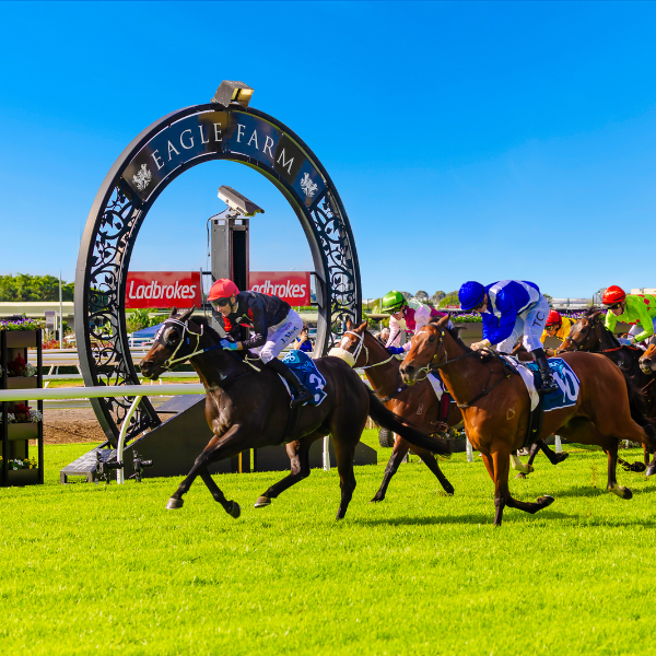 SS26_Hero Image_01 Guineas_600x600